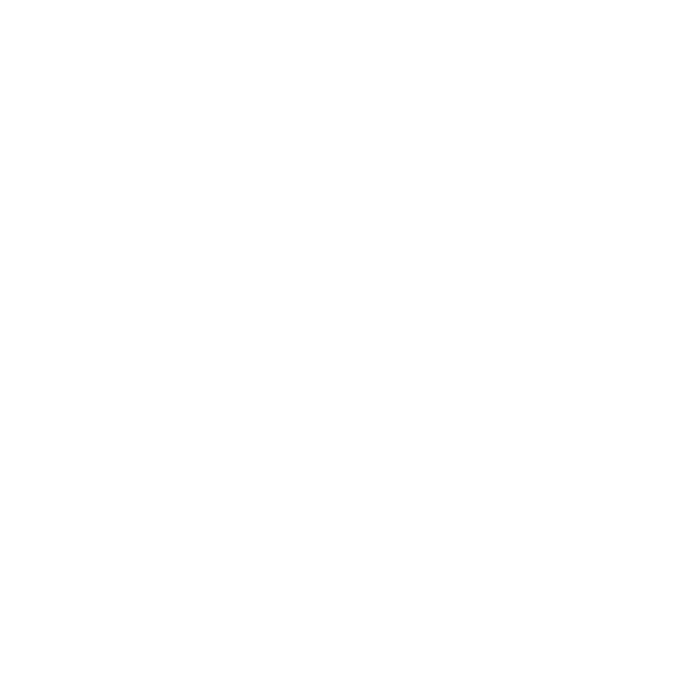 Degús
